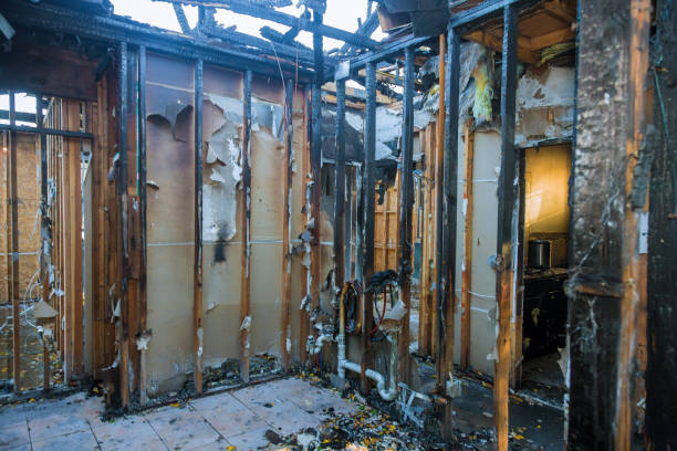 Professional Smoke Damage Removal technician working in Appleton, MN